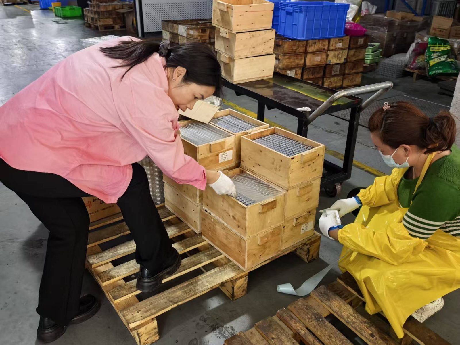 Packing area — cartons labelled per carton